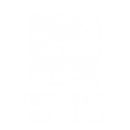 Guaman Poma de Ayala